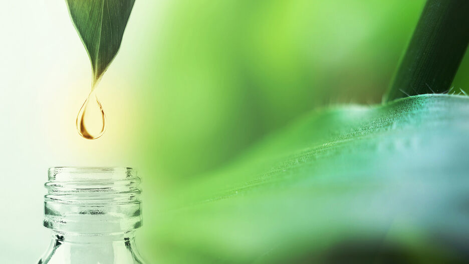 Ein Wassertropfen fällt von einer Pflanze in eine kleine Flasche.