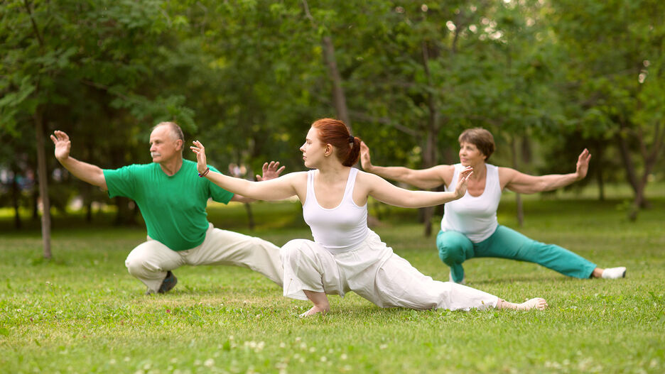 Drei Personen führen eine Yoga-Übung im Park aus.